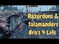 Razordons & Salamanders = Bro's 4 Life. Lizardmen Vs Tomb Kings. Total War Warhammer 2 Multiplayer