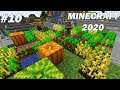 FIN DU MONDE: Agriculture , commerce et diamants !  Minecraft 2020 EP10