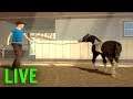 LIVE STREAM MY RIDING STABLES