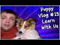 Learning To Stay - PuppyVlog #15 - MumblesVideos (Puppy Adventures)