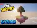 Minecraft Survival Skyblock Challenge! Review & Tutorial