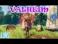 Valheim | Gameplay / Let's Play | E7
