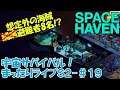 【SPACE HAVEN】宇宙サバイバル！まったりライブＳ２-#１９