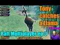 Tony catches a Llama: Raft Multiplayer ep 3
