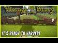 Vintage Story -  It's Ready To Harvest  ep9  - Crafting | Survival | Base Building