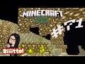 #71 Netherquarz- und Glowstonewelt - ☢After Humans☢ #Minecraft
