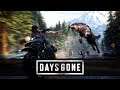 【莎皮Shapy Live】往日不再-Days Gone|PS4-邊試邊聊#8-大遍粉屍