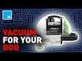Would You Vacuum Your Dog? [FUTURE BLINK]