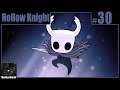 Hollow Knight Playthrough | Part 30