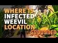 Infected Weevil Grounded Best Farm Location