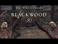 Let's Play ESO - Blackwood [Blind] [Deutsch] Part 36 - Eine Welt voller Stibbons