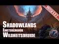 Shadowlands Wildheitsdruide Einsteigerguide World of Warcraft