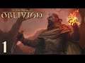 TES IV: Oblivion - Маг в Анвиле! (Заказ)
