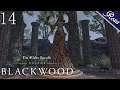 The Shade Sickle | Part 14 | ESO Blackwood