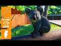 KOALAS sind supersüß! Australien DLC ♦ Planet Zoo Deutsch