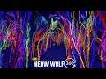 Meow Wolf Santa Fe 3D 360 Tour