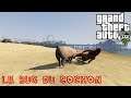[REDIFFUSION] GTA V - LE BUG DU COCHON