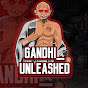 Gandhi Unleashed