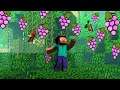 All Types Of FRUITS And VEGETABLES Trees In Minecraft | I Am Khaleel