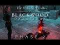 Let's Play ESO - Blackwood: Deadlands [Blind] [Deutsch] Part 56 - Eine apokalyptische Lage [Phase 2]