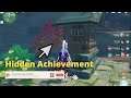 Hidden Achievement | Genshin Impact