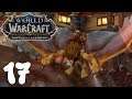 SUBIENDO A UN PALADIN! World Of Warcraft! Capitulo 17!
