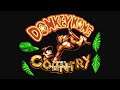 Donkey Kong Country: NES Gameplay