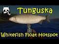 Russian Fishing 4 Tunguska Broad Whitefish Float Hotspot