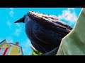 Finding Rare Bird Feathers To Make New Stuff in Grounded