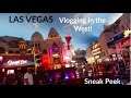 I WENT TO LAS VEGAS | Sneak Peek! | Vlogs in the West!