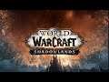 Тестируем ШП в ПВП! - World of Warcraft: Shadowlands