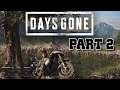 Nests, Bounties, and Cool Old Ladies | Days Gone | Part 2