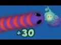 Cacing besar.io