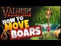 How To Easily Move Boars Valheim Guide