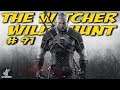 The Witcher 3: Wild Hunt - Ep 91 The Crimson Avenger - ScottDogGaming