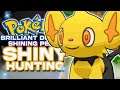 LIVE SHINY SHINX HUNTING! Pokemon Brilliant Diamond & Shining Pearl Shiny Hunting!