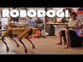 Michael Reeves First Time Seeing ROBODOG!