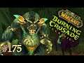 Der Werbär im Teuefelswald [#175] Let's play WoW: Burning Crusade Classic | 4k + Raytracing