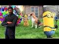 Fortnite Characters Dancing in My Garden and Real Life Minions going Bananas.  Must See Video!