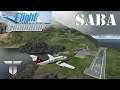 Aterrei numa pista com 1/3 do comprimento mínimo | Microsoft Flight Simulator 2020 (MSFS)
