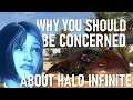 Halo INFINITE Multiplayer Overview: Why You Should Be CONCERNED!