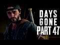Days Gone - AFRAID OF A LITTLE COMPETITION - Walkthrough Gameplay Part 47