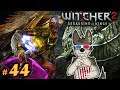 DREAM SNATCHERS || THE WITCHER 2 Let's Play Part 44 (Blind) || THE WITCHER 2 Gameplay