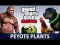 GTA Online - All 76 Peyote Plants Locations (Play as an Animal in GTA Online)