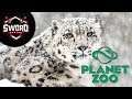 Snow Leopard  I  Planet Zoo  #11