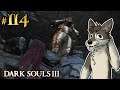 THE SHARED GRAVE || DARK SOULS 3 Let's Play Part 114 (Blind) || THE RINGED CITY DLC Gameplay