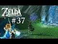 Die Geschichte der Zoras • The Legend of Zelda: Breath of the Wild #37 ★ Let's Play
