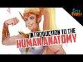 Introduction to Human Anatomy - How to study effectively? - Cyan Orange Academy