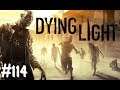 Let's Play Dying Light part 114 (German)