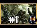 #1- Bienvenido a REACH -HALO : TMCC